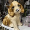 Hondje